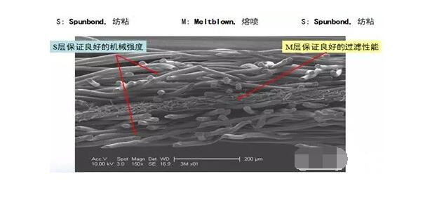 細塑料纖維顯微結構